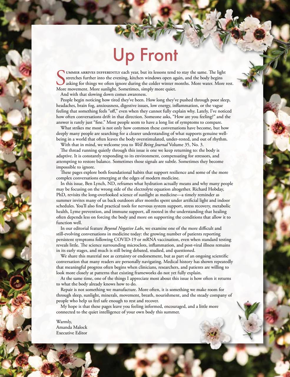Well Being Journal Preview Pages
