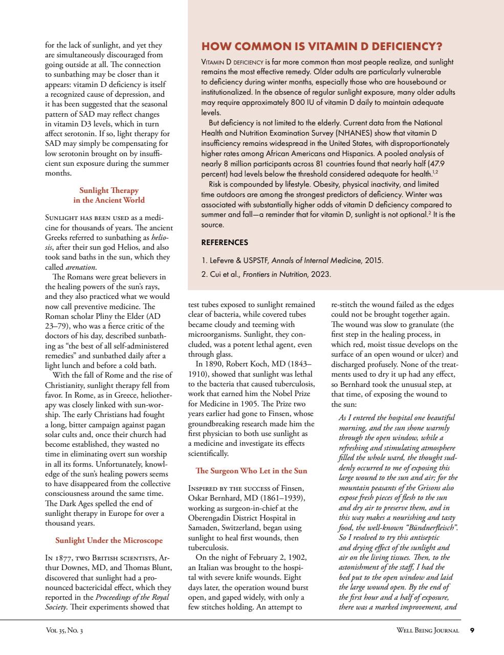 Well Being Journal Preview Pages