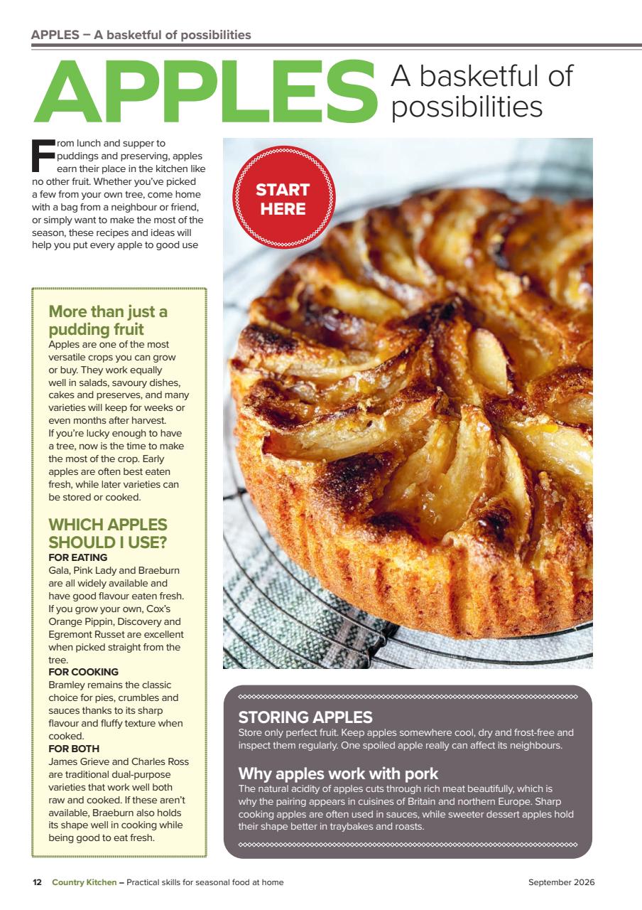 Country Kitchen Preview Pages
