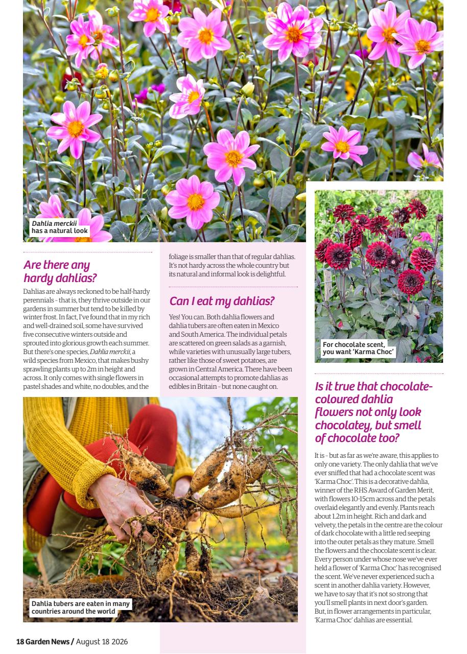 Garden News Preview Pages