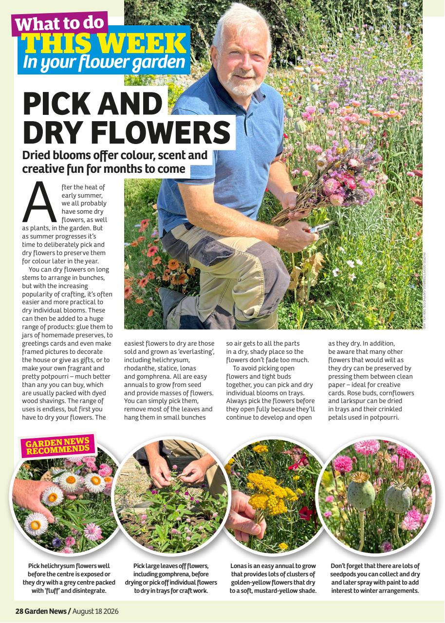 Garden News Preview Pages