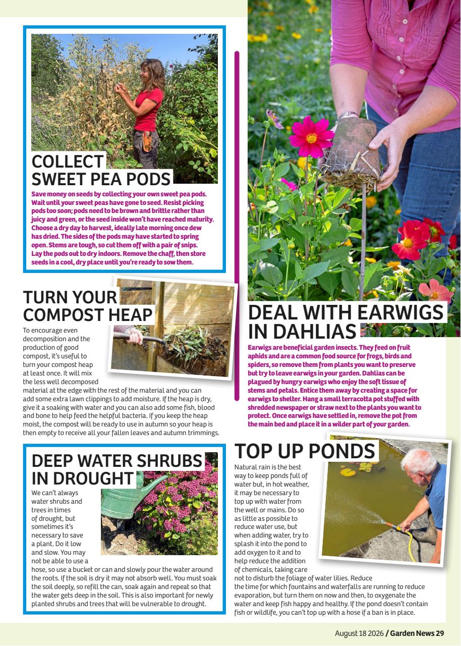 Garden News Preview Pages