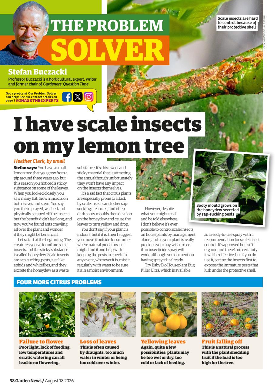 Garden News Preview Pages