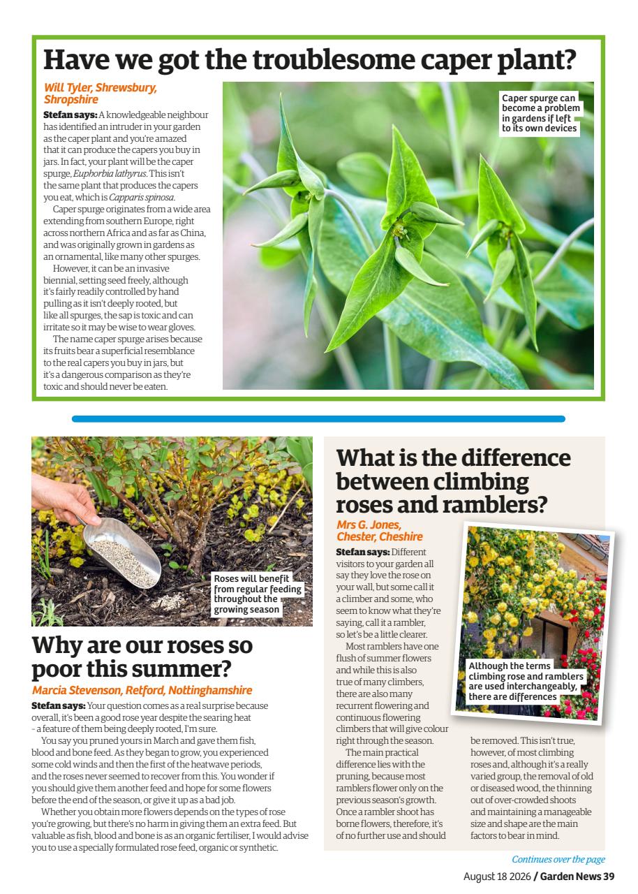 Garden News Preview Pages