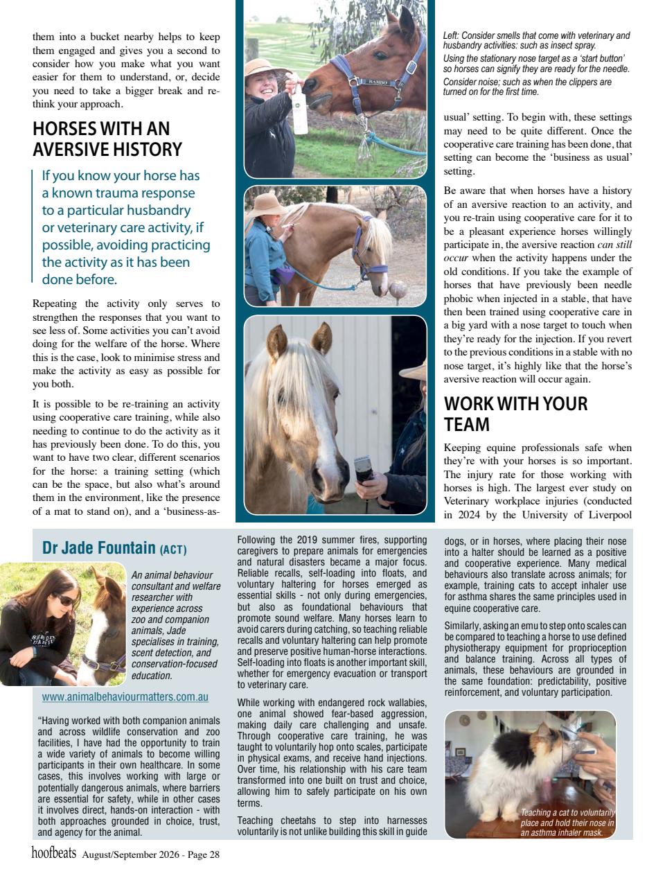 Hoofbeats Preview Pages