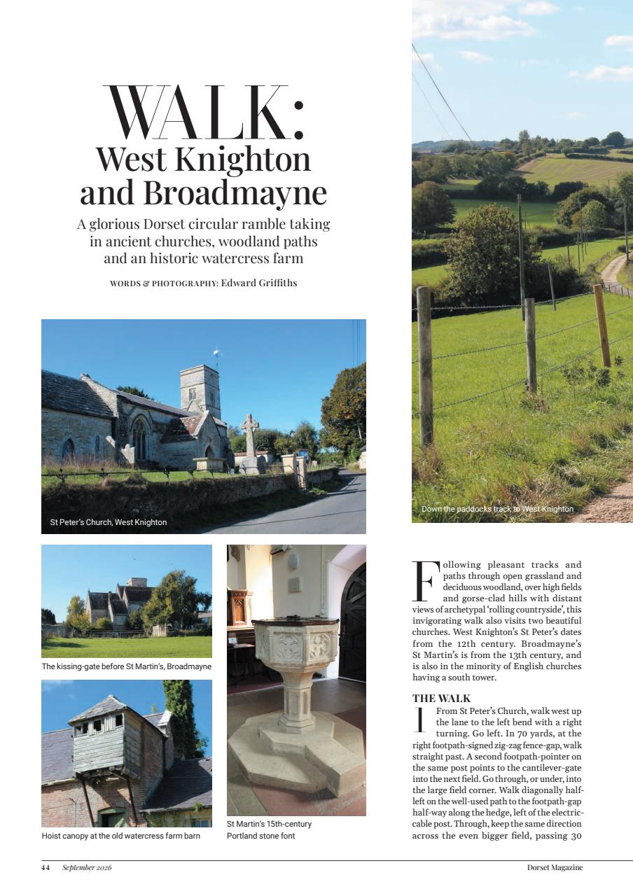 Dorset Magazine Preview Pages