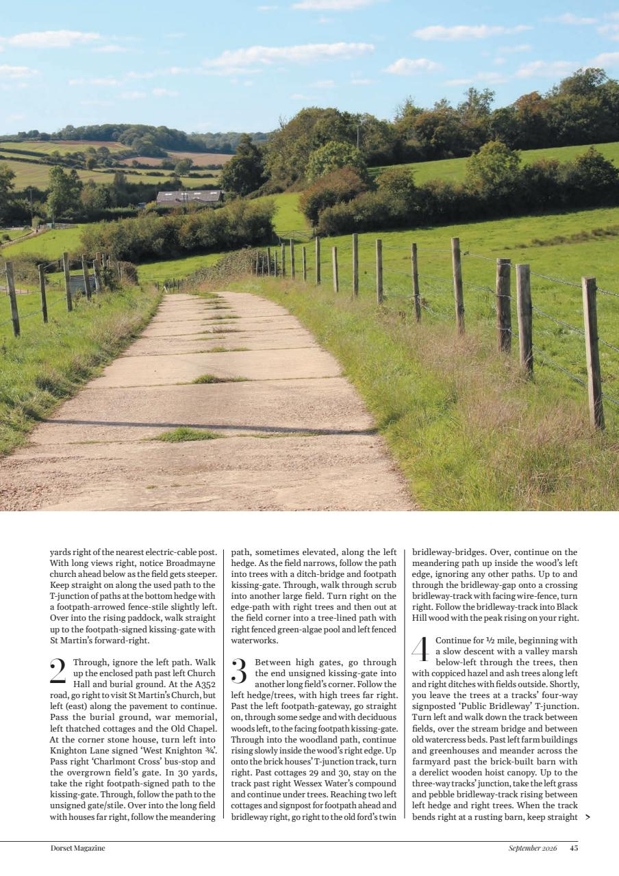 Dorset Magazine Preview Pages