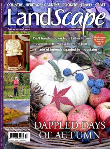 LandScape issue Oct-26