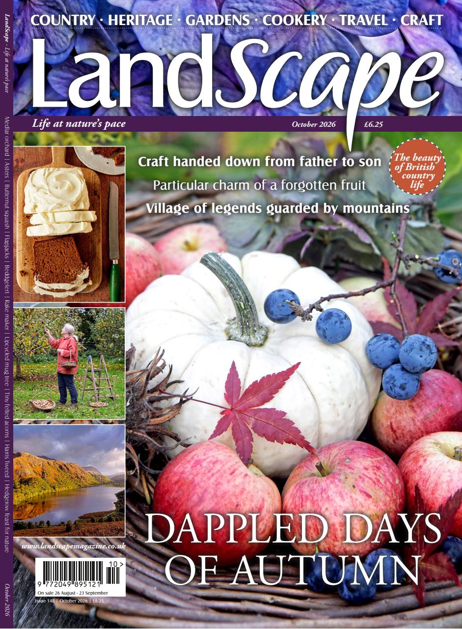 LandScape Preview Pages