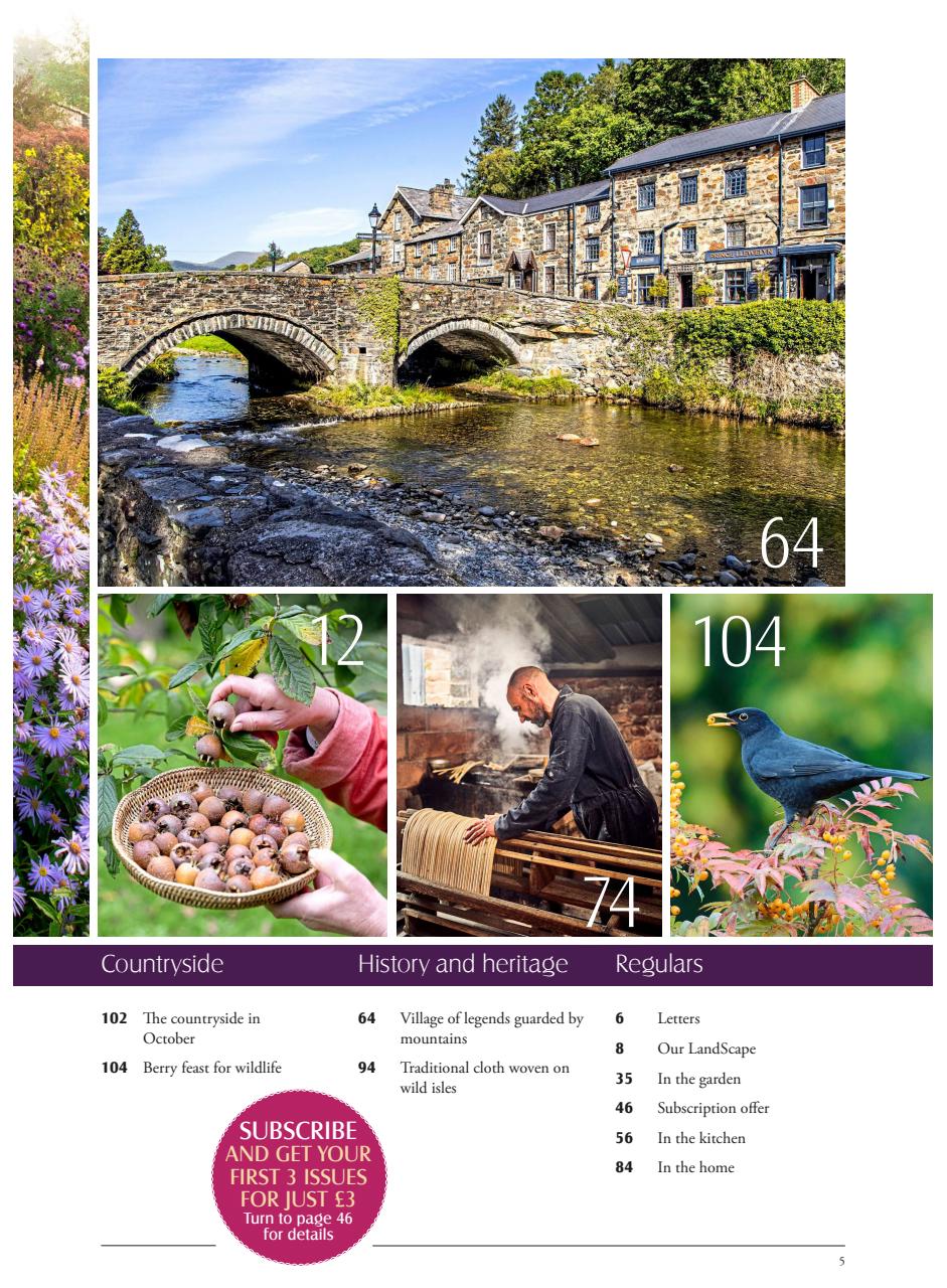 LandScape Preview Pages
