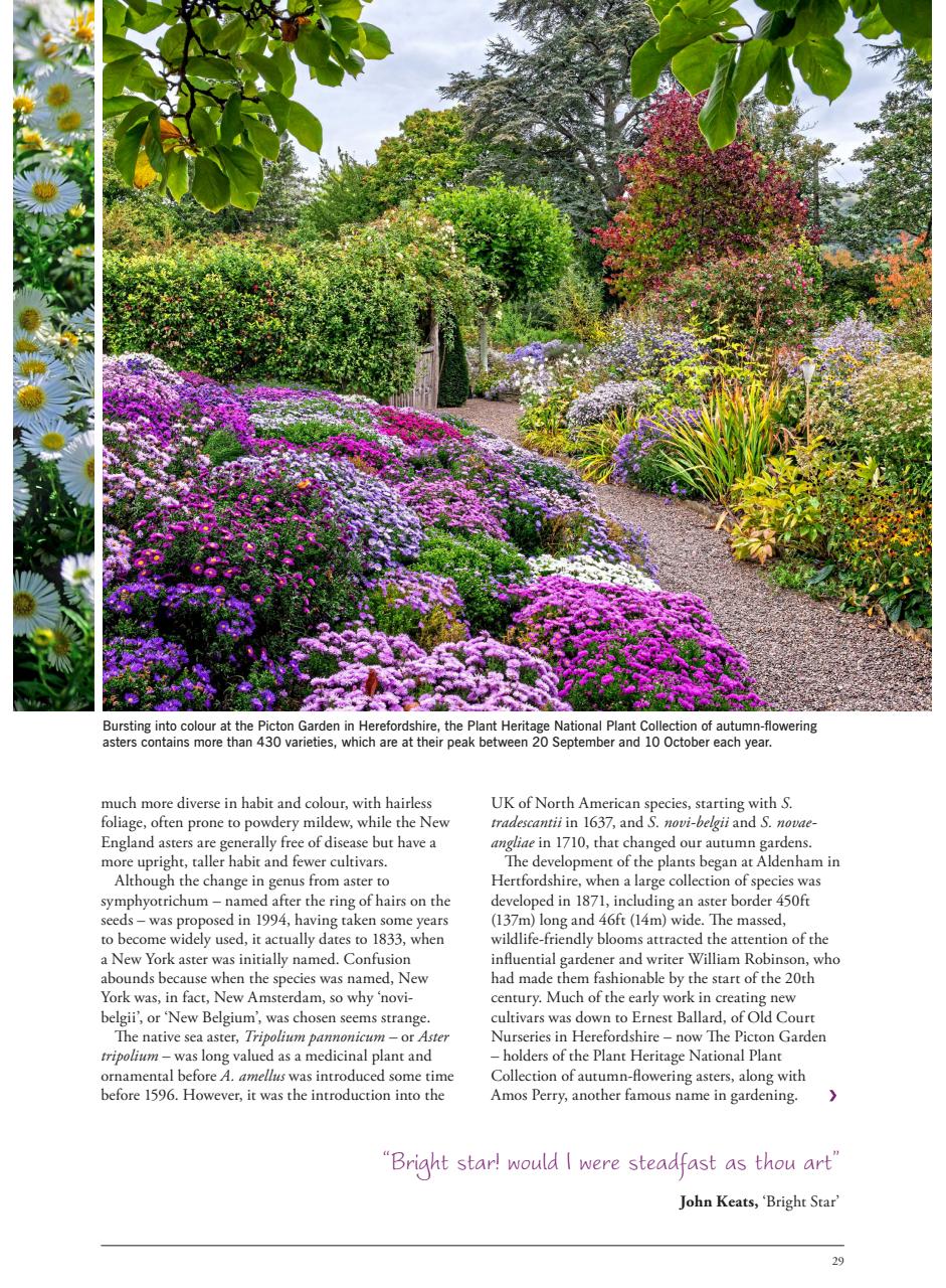 LandScape Preview Pages