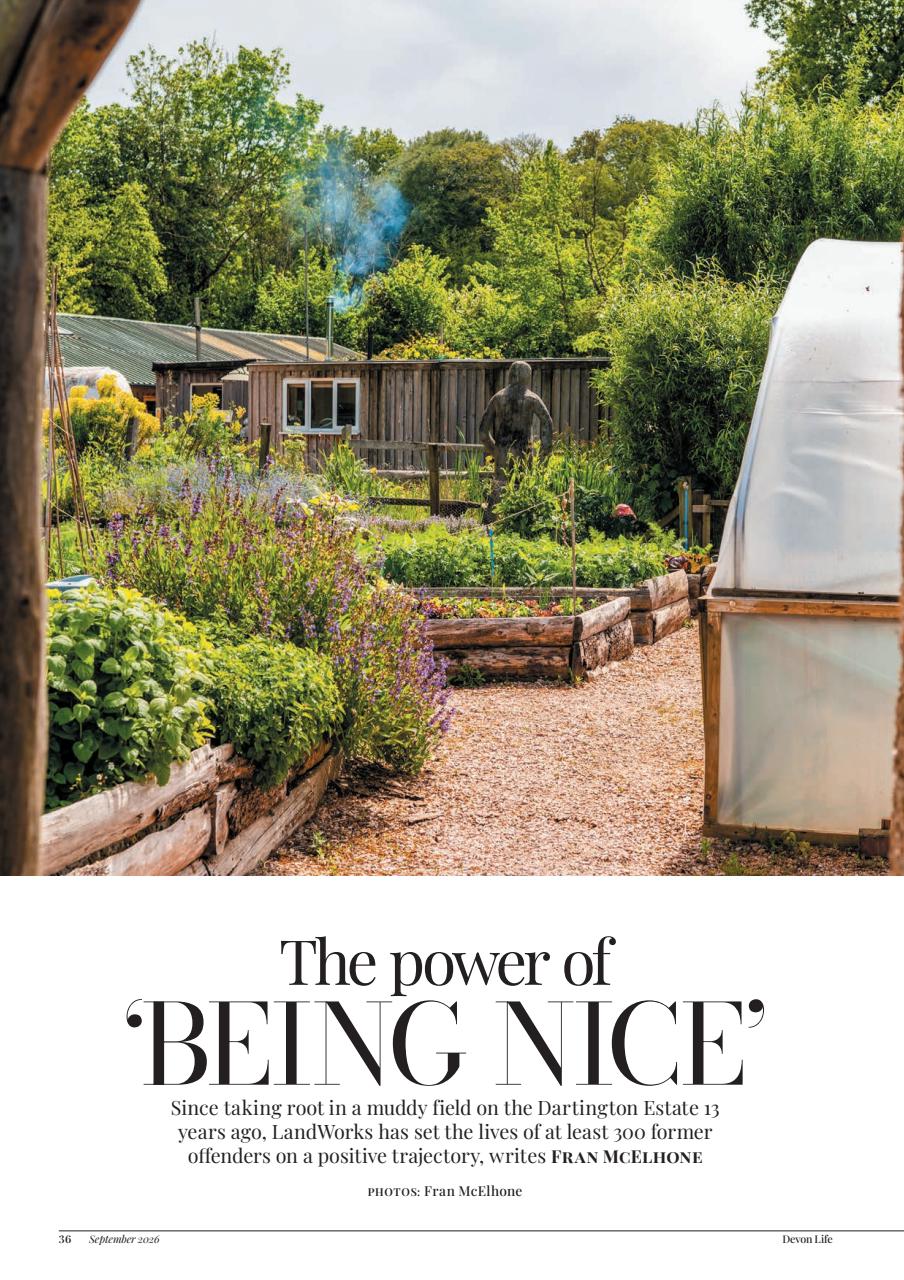 Devon Life Preview Pages