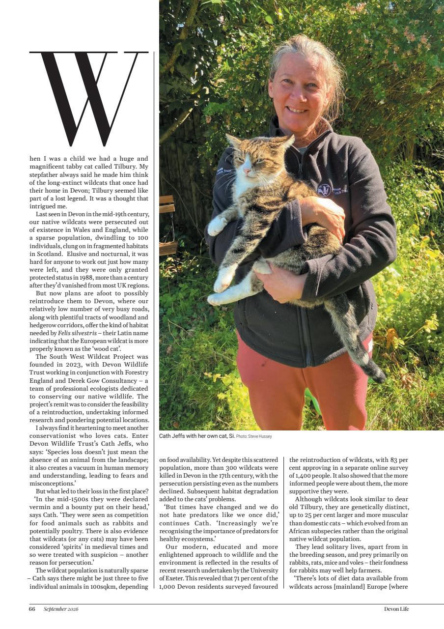 Devon Life Preview Pages