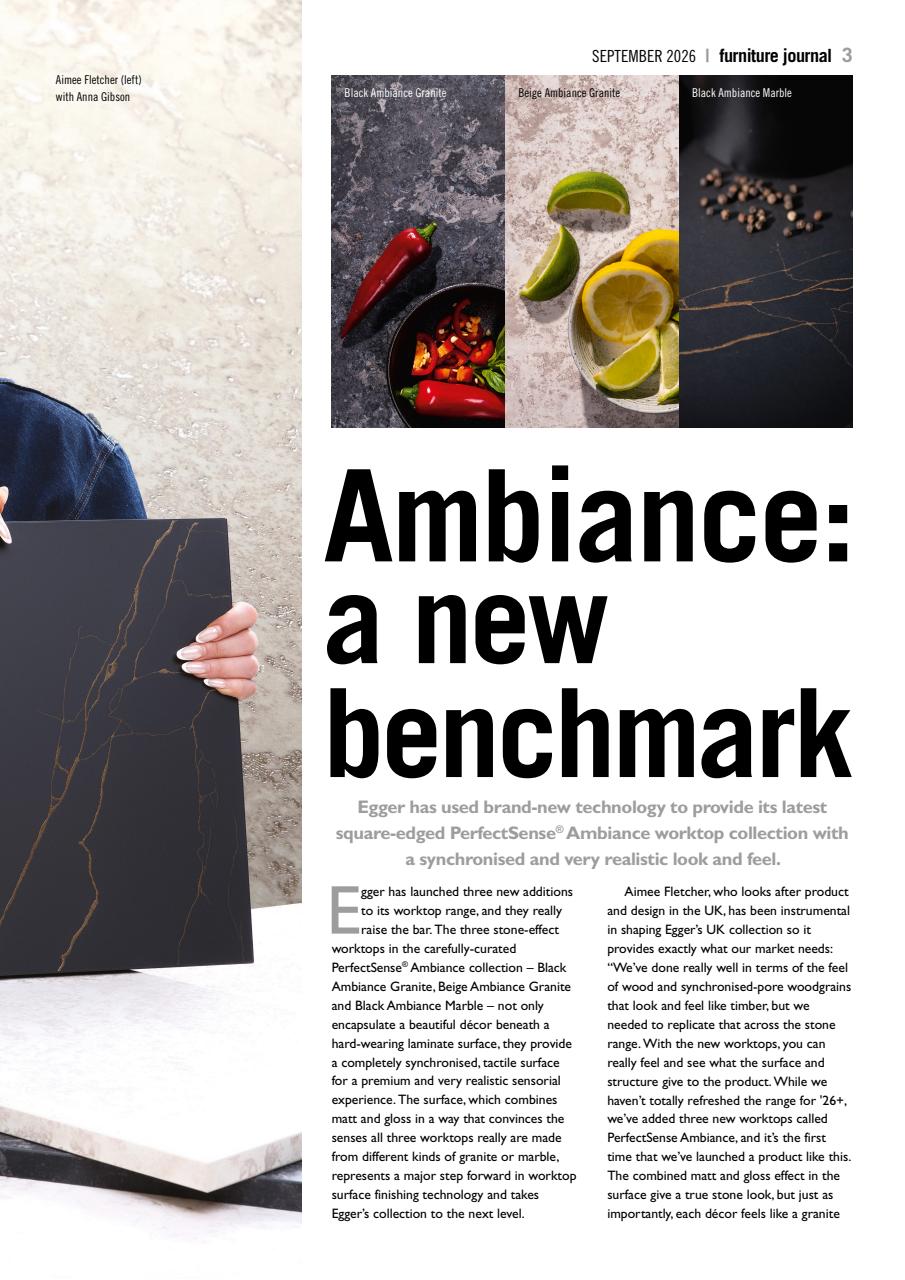 Furniture Journal Magazine Preview Pages