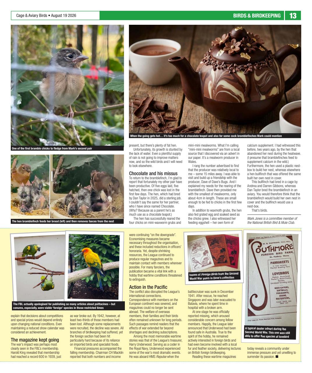 Cage & Aviary Birds Preview Pages