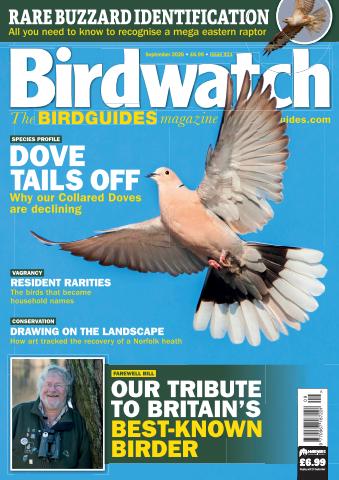 Birdwatch Magazine issue September 2026