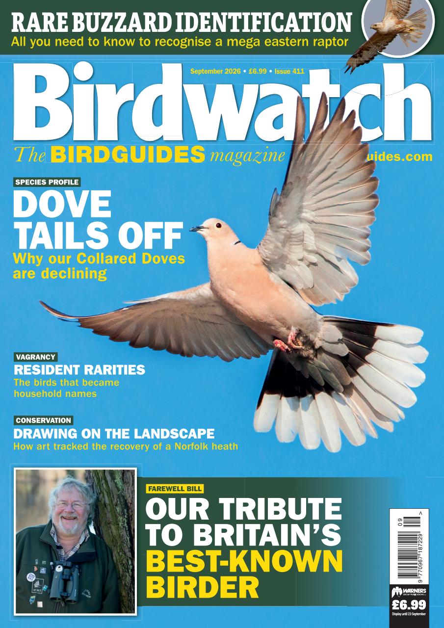 Birdwatch Magazine Preview Pages