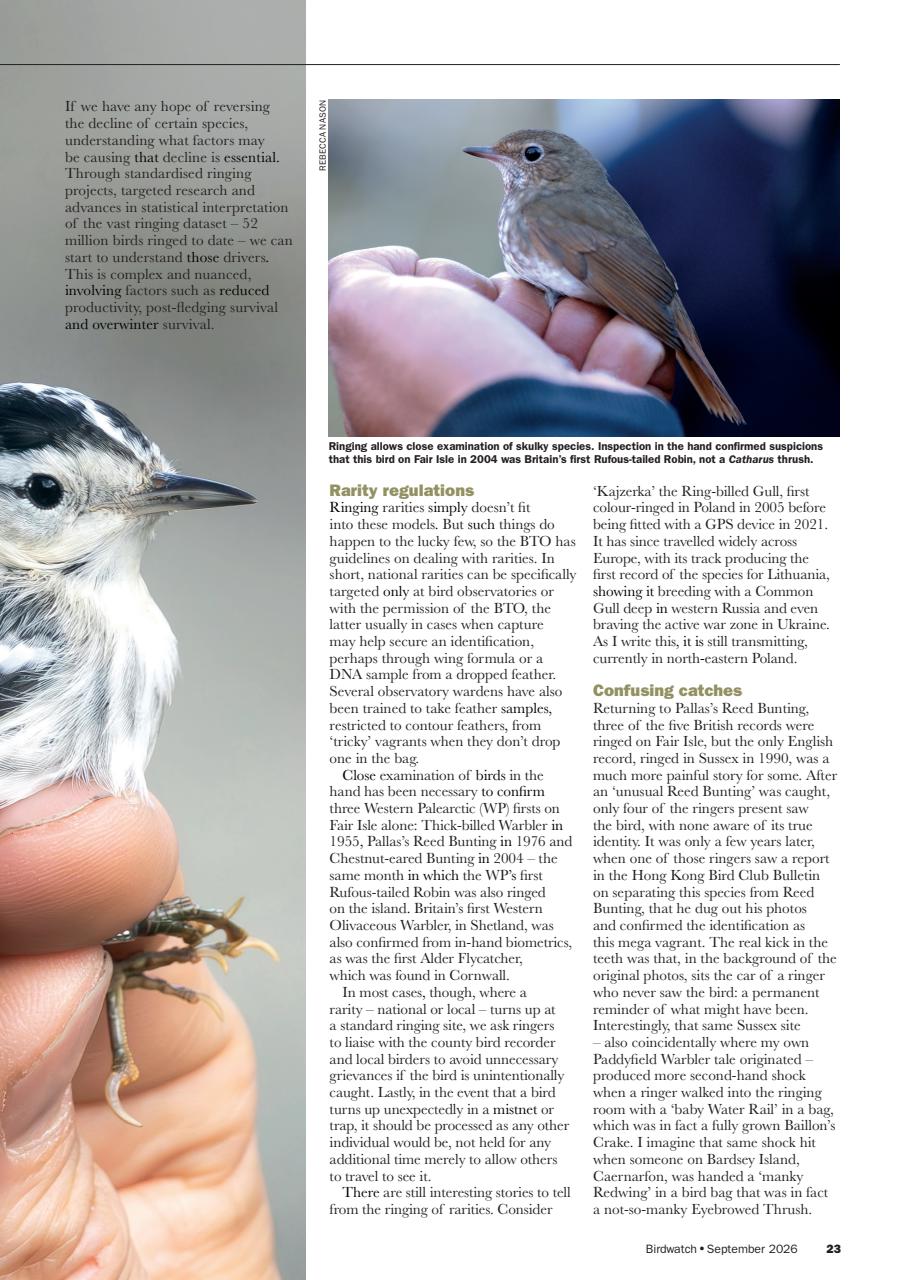 Birdwatch Magazine Preview Pages