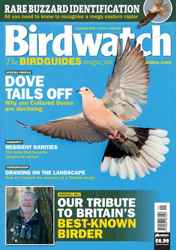Birdwatch Magazine Complete Your Collection Cover 1