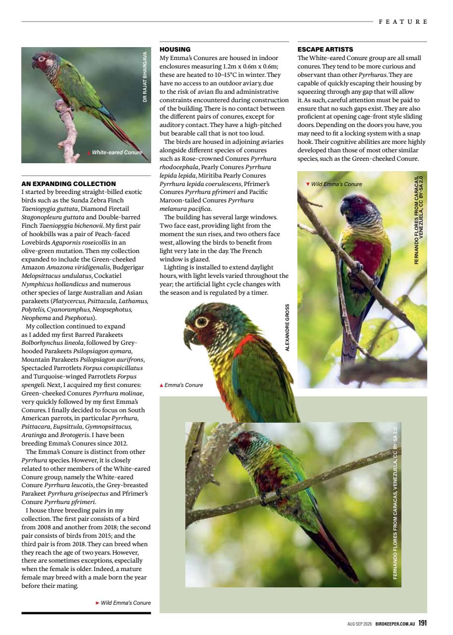 Australian Birdkeeper Magazine Preview Pages