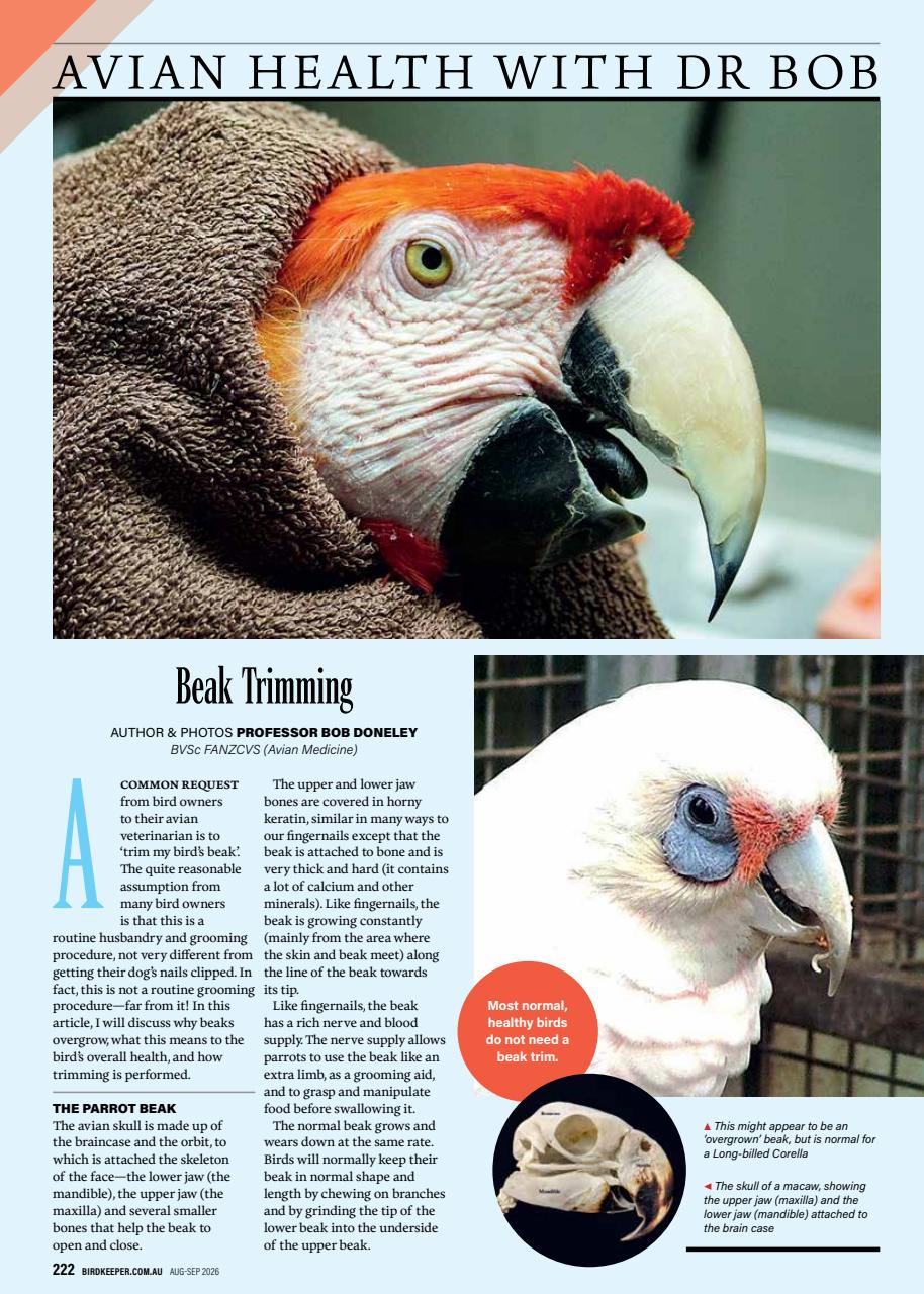 Australian Birdkeeper Magazine Preview Pages