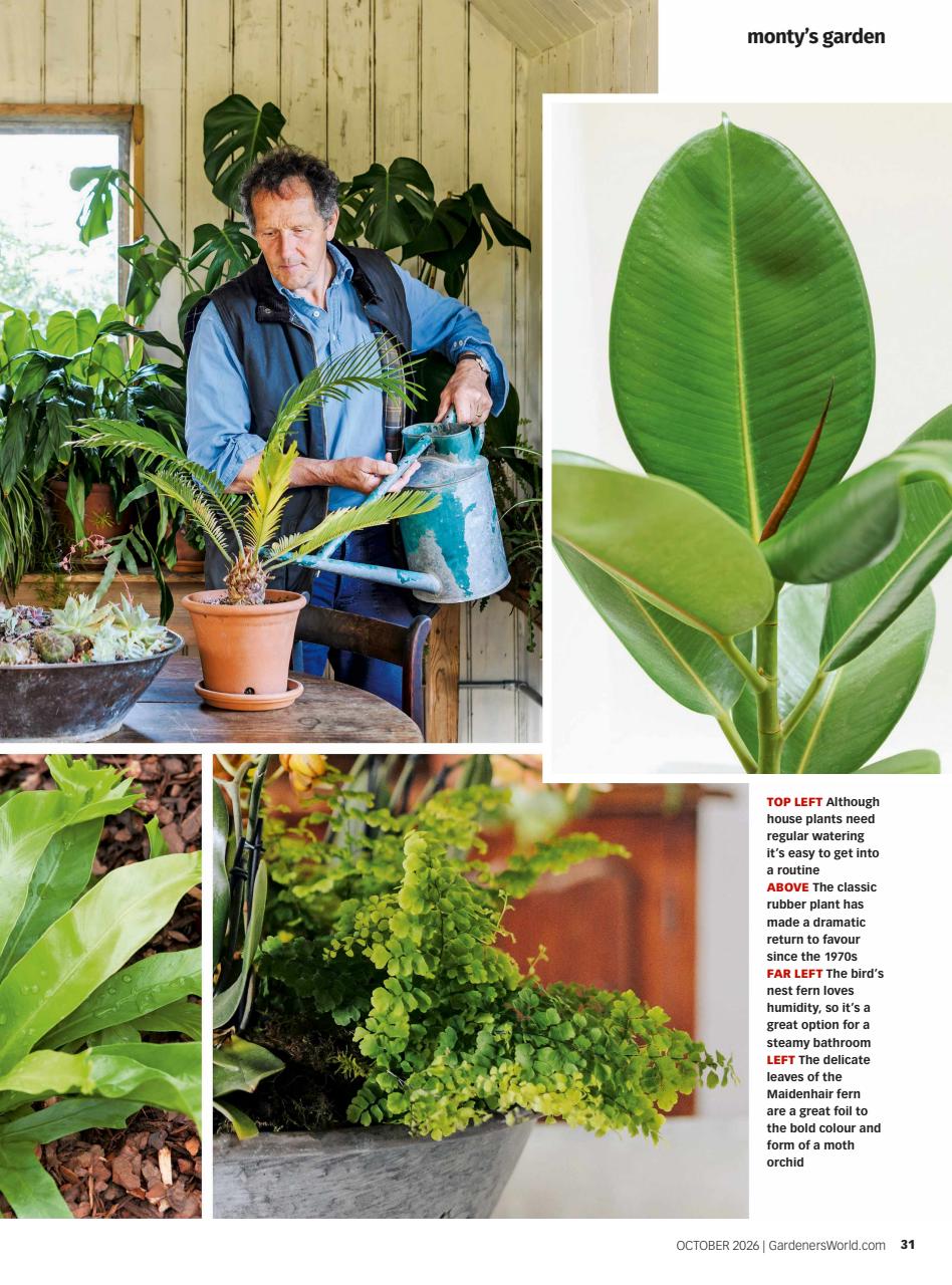 BBC Gardeners’ World Magazine Preview Pages