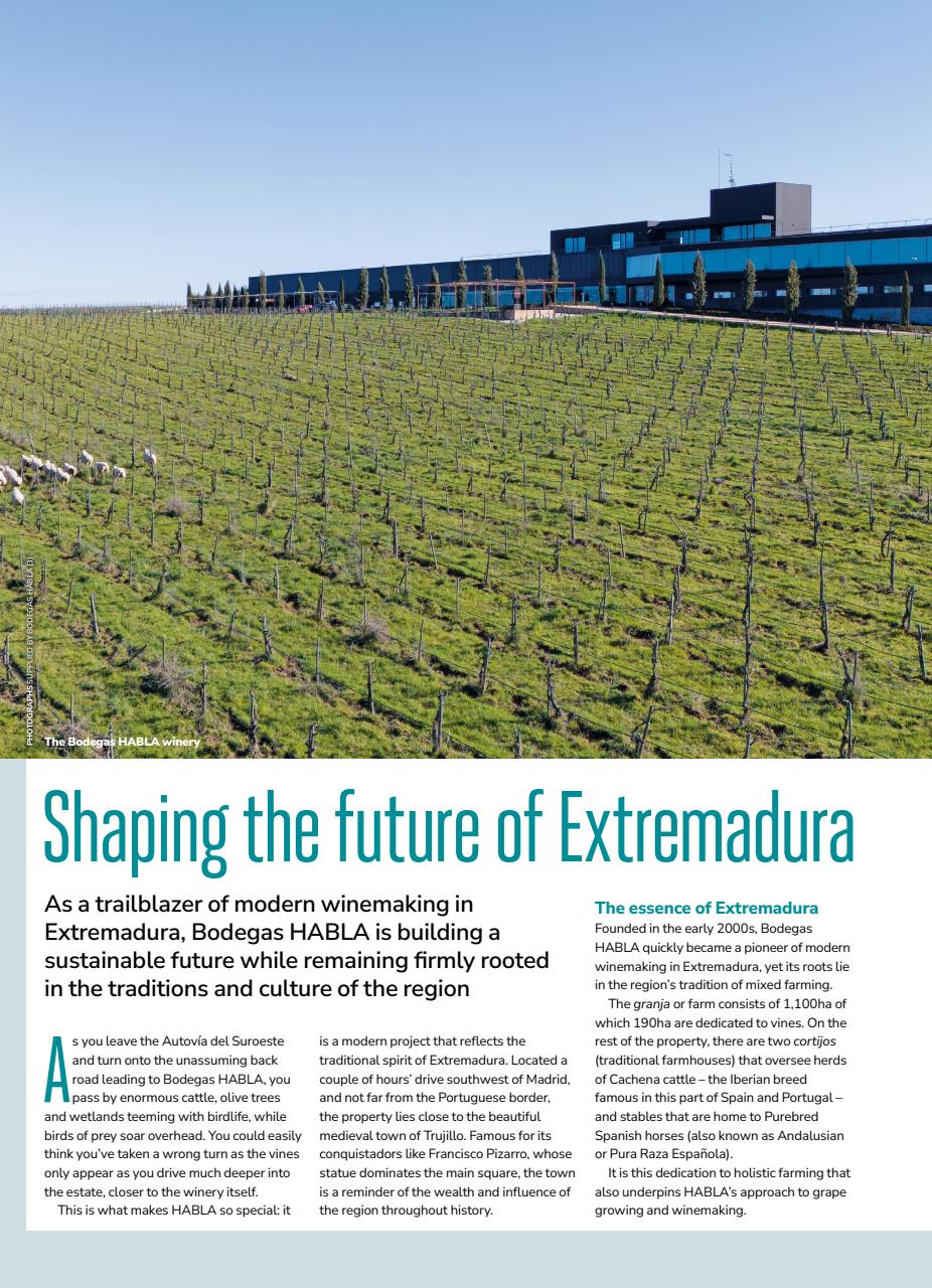 Decanter Preview Pages