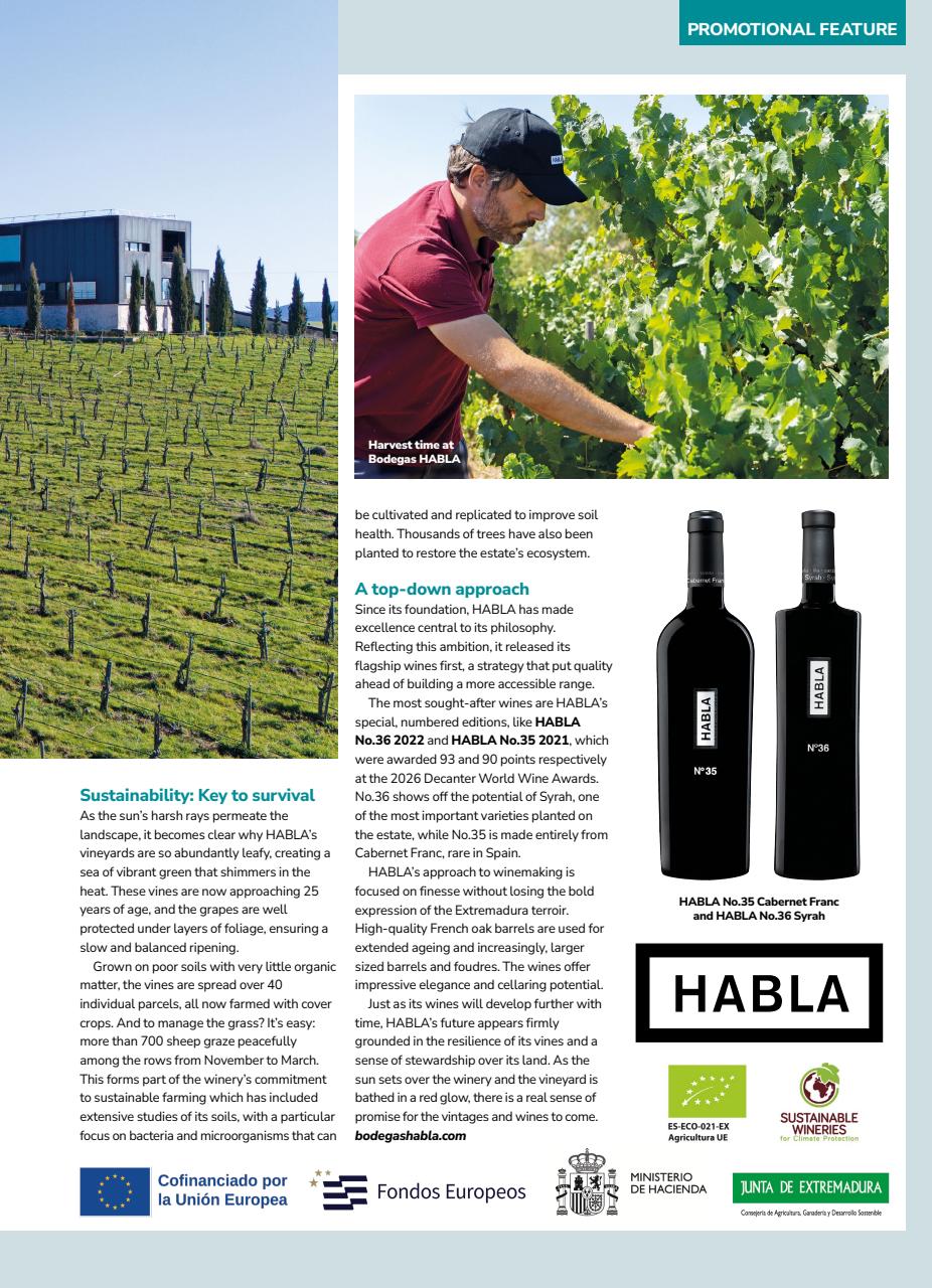 Decanter Preview Pages