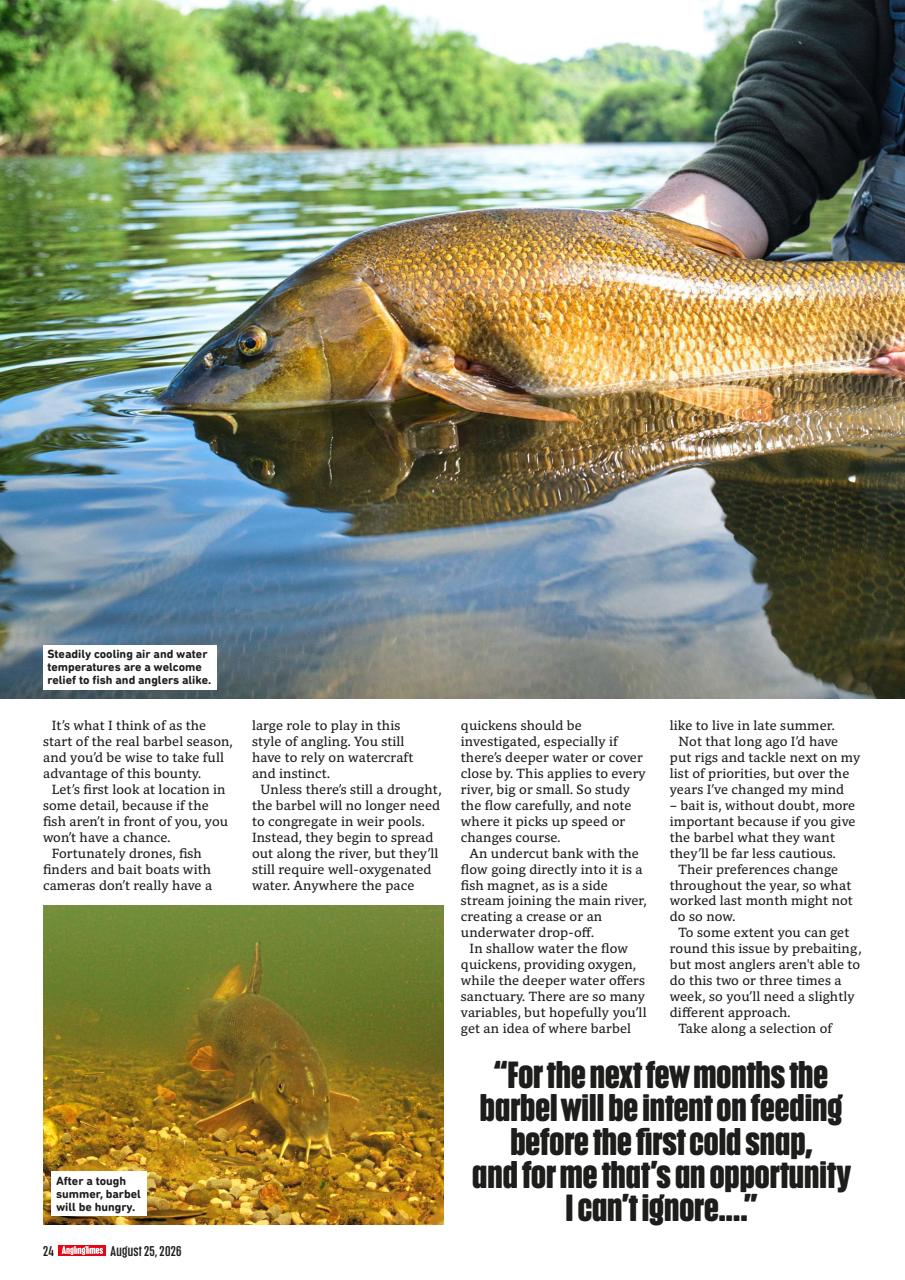 Angling Times Preview Pages