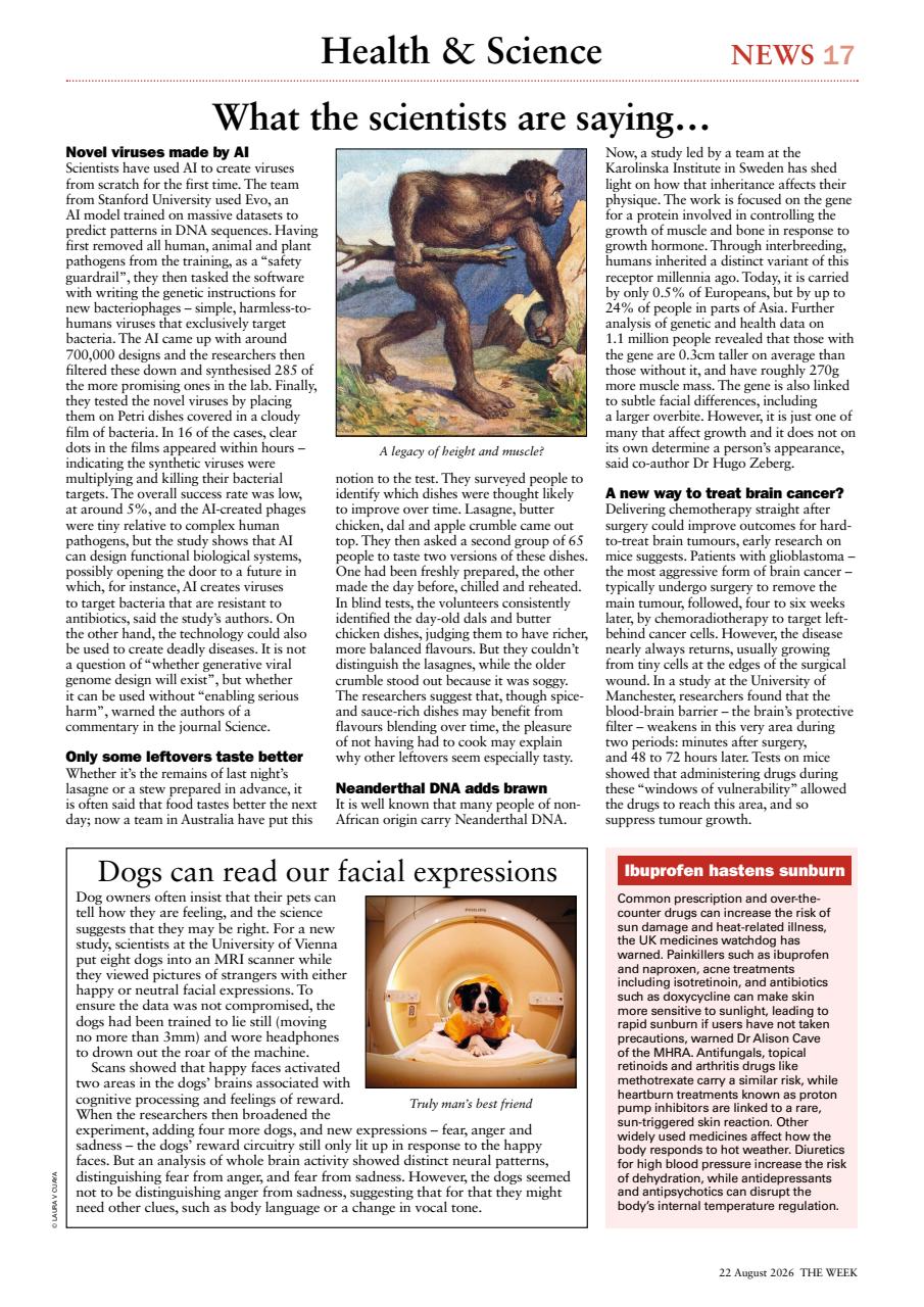 The Week Preview Pages