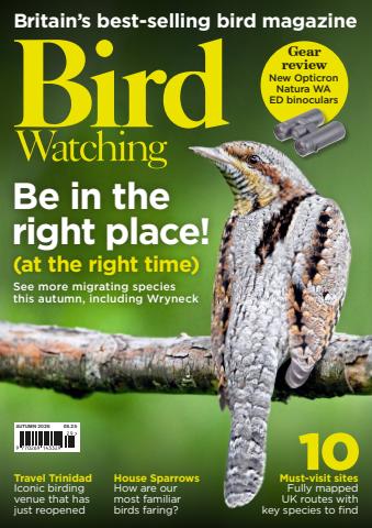 Bird Watching issue Aut-26
