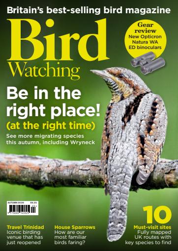 Bird Watching issue 