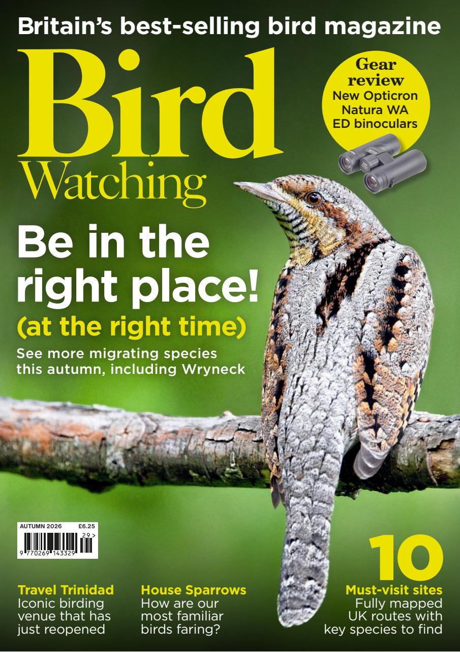 Bird Watching Preview Pages
