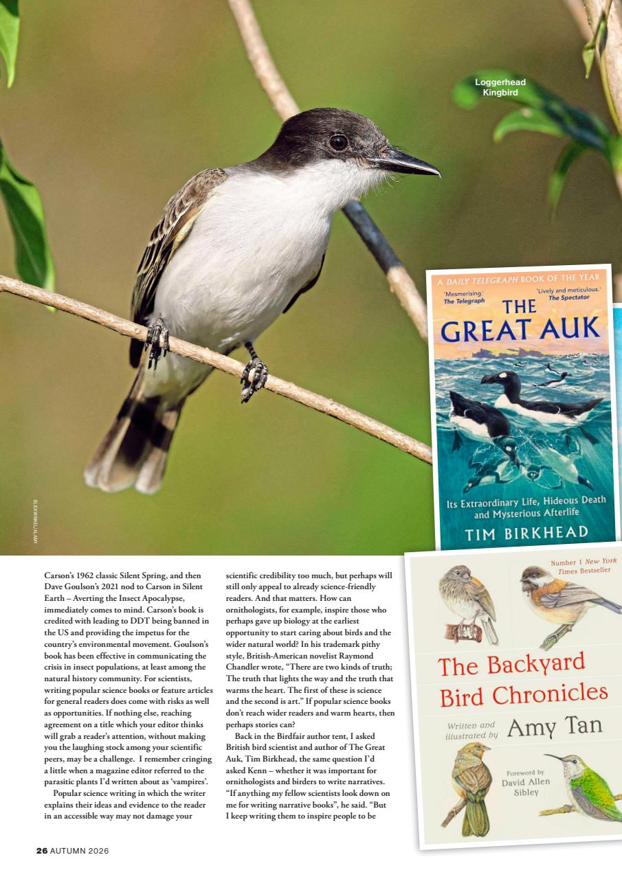 Bird Watching Preview Pages
