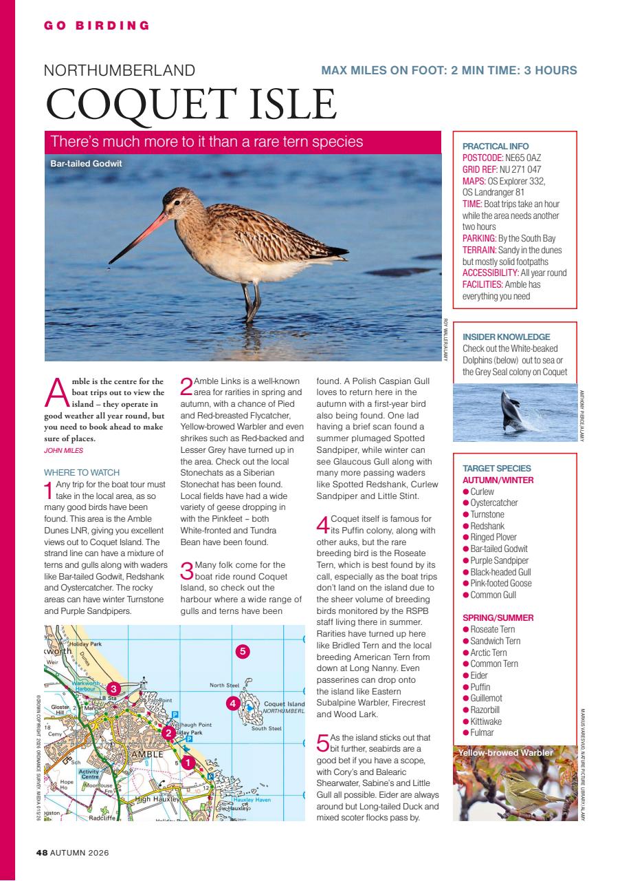 Bird Watching Preview Pages