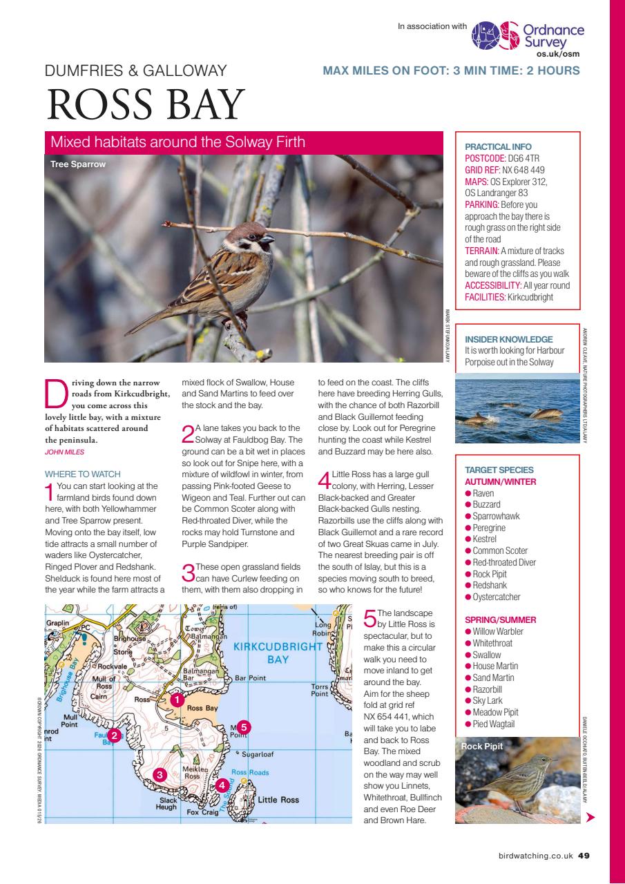 Bird Watching Preview Pages