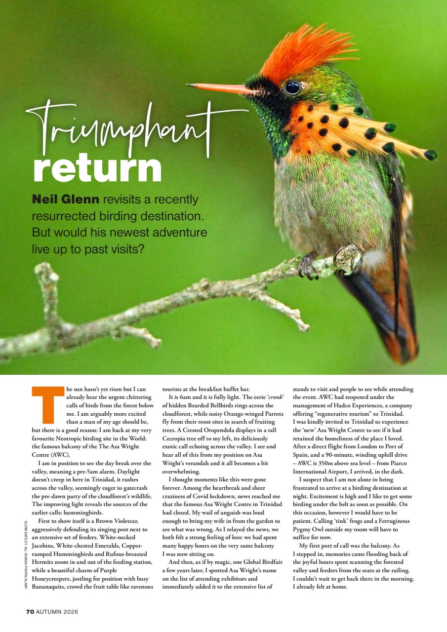 Bird Watching Preview Pages