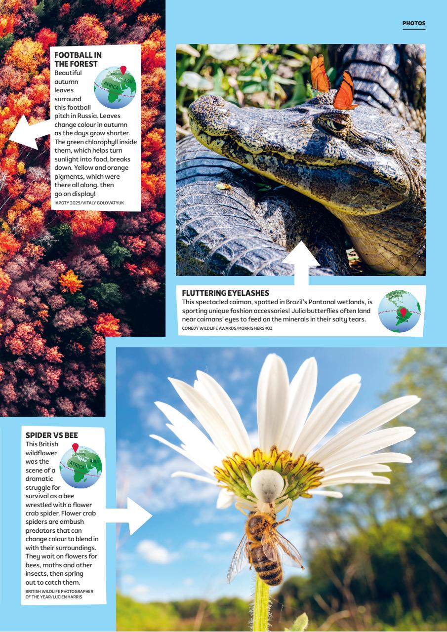 What on Earth! Magazine Preview Pages