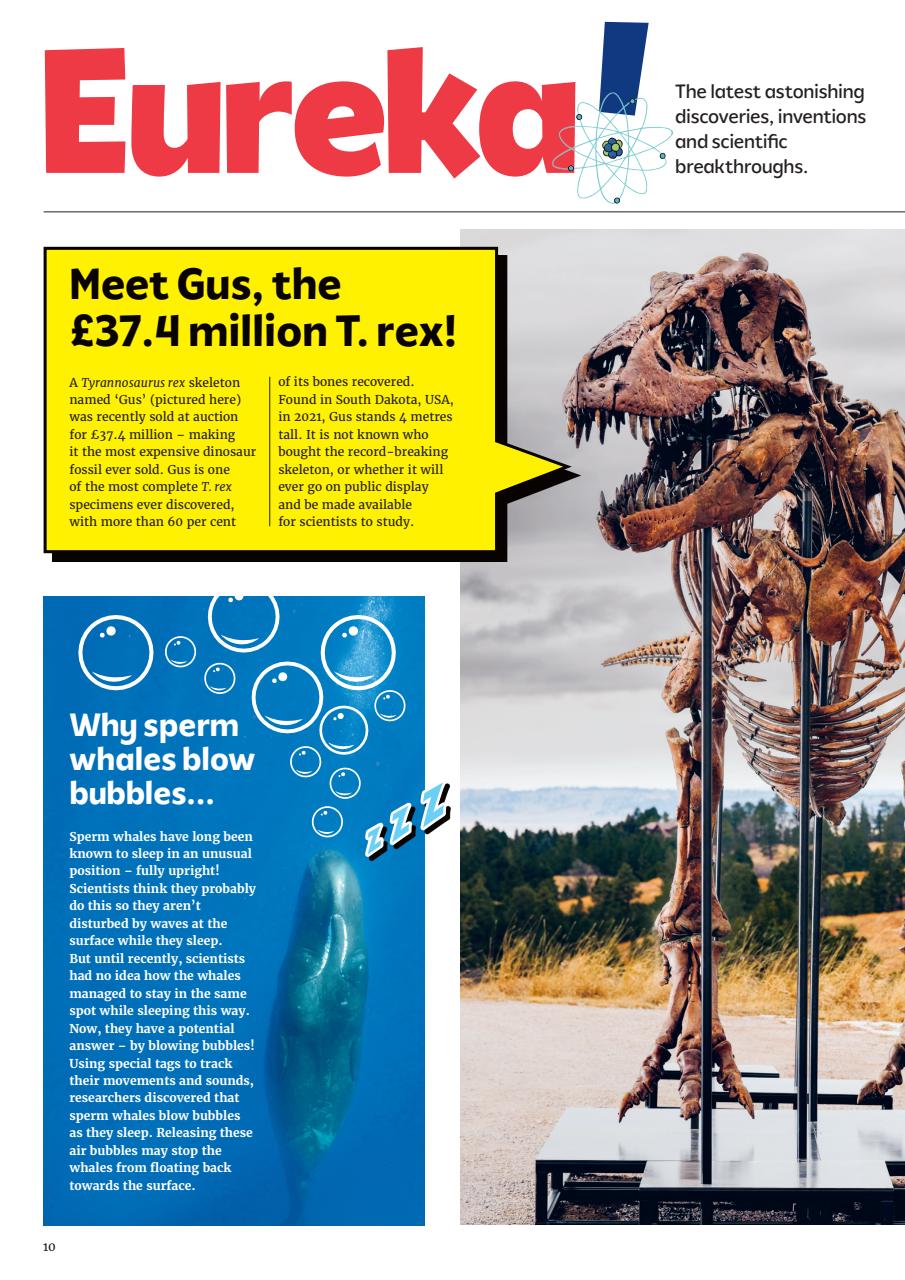 What on Earth! Magazine Preview Pages