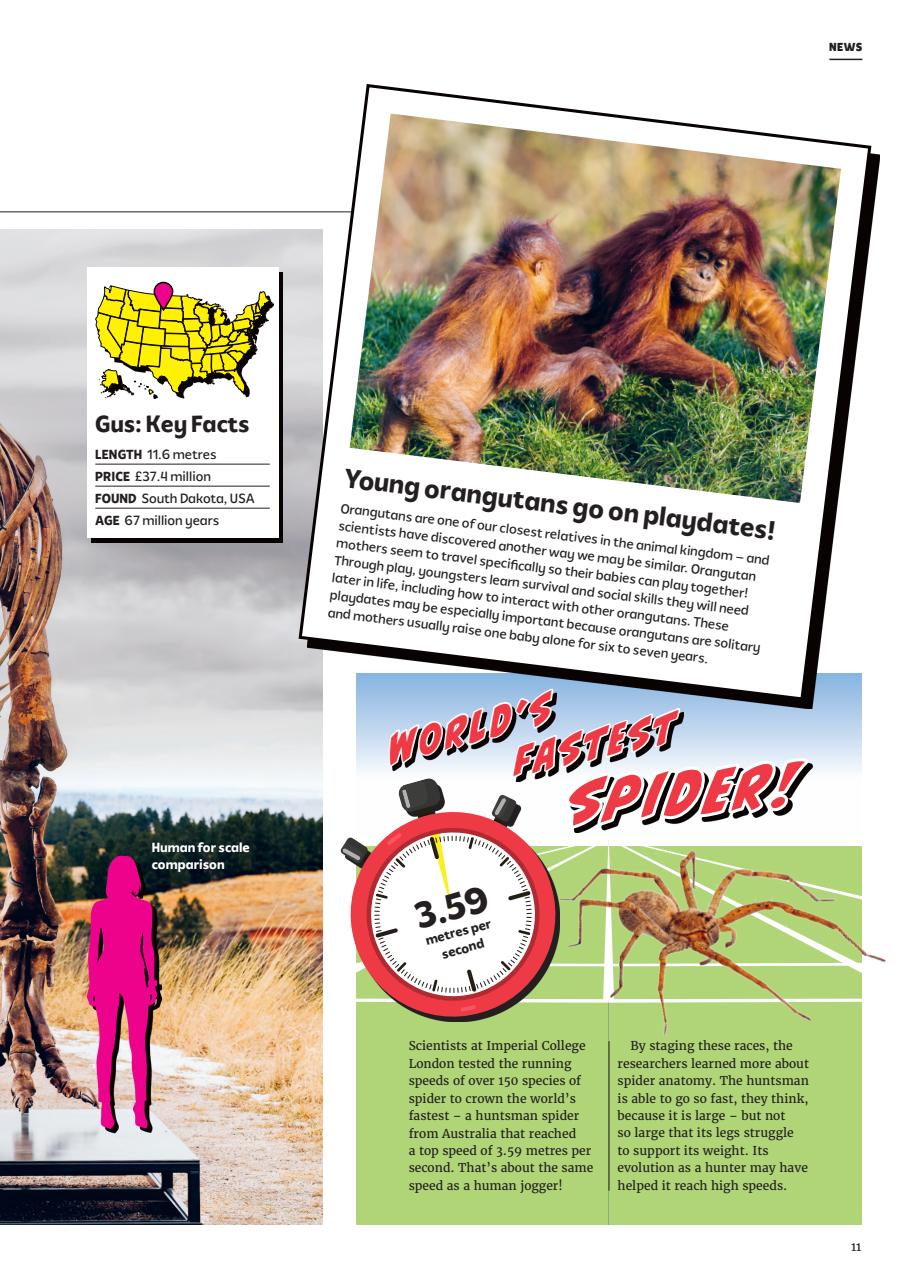What on Earth! Magazine Preview Pages