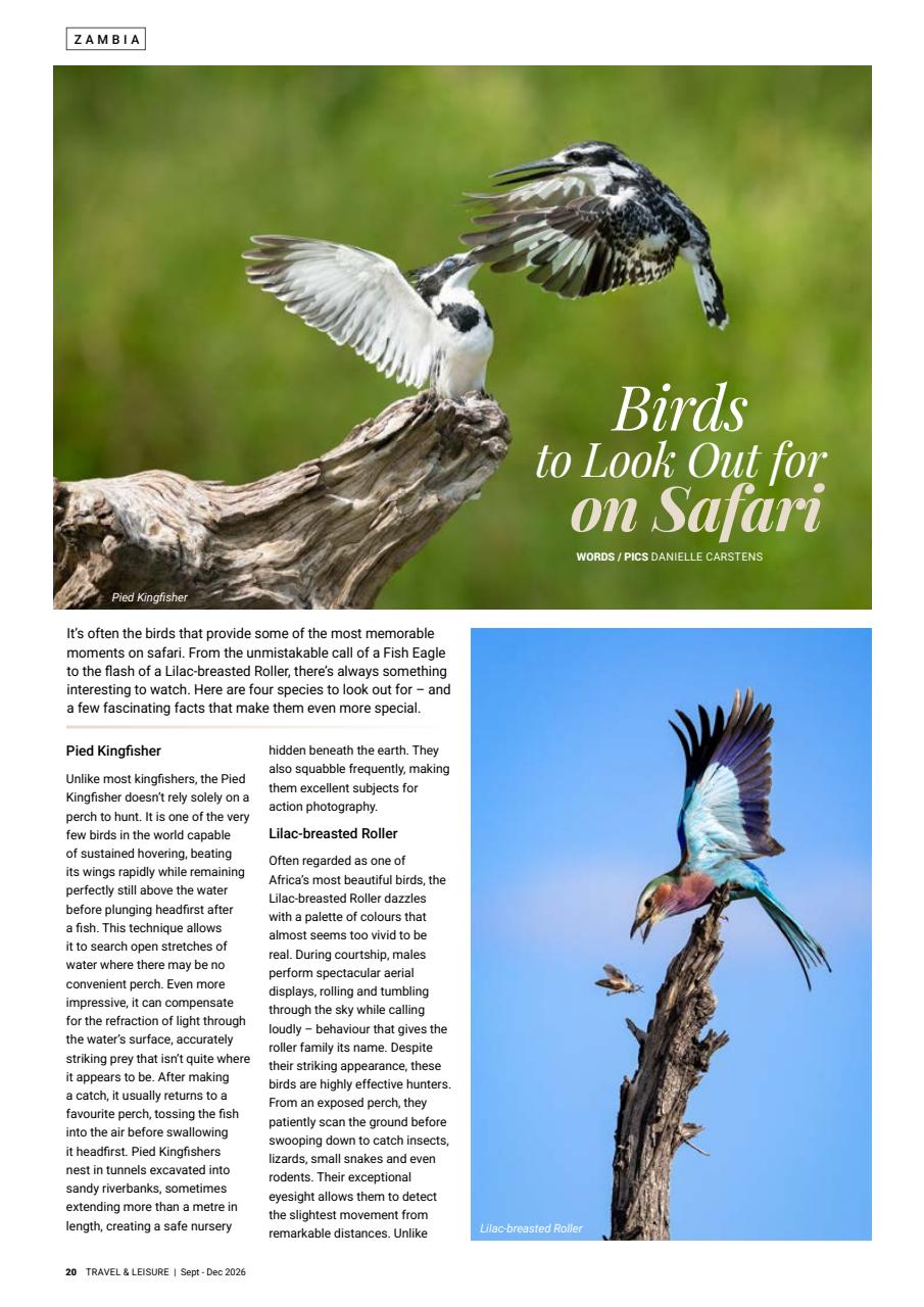 Travel & Leisure Zambia & Zimbabwe Preview Pages