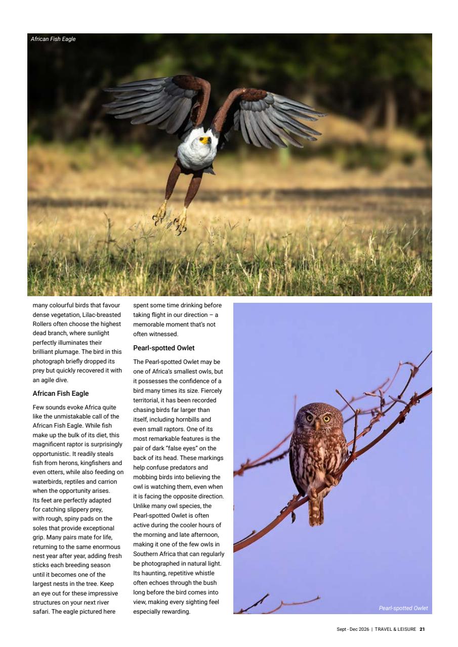 Travel & Leisure Zambia & Zimbabwe Preview Pages