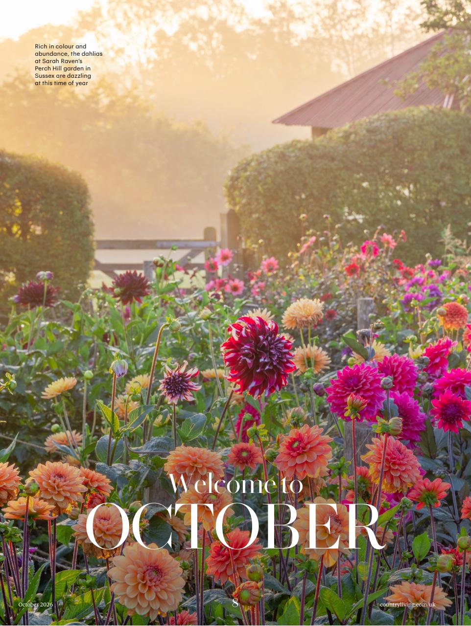 Country Living Preview Pages