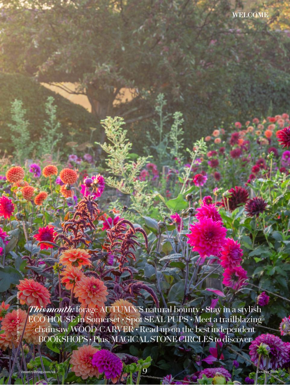 Country Living Preview Pages