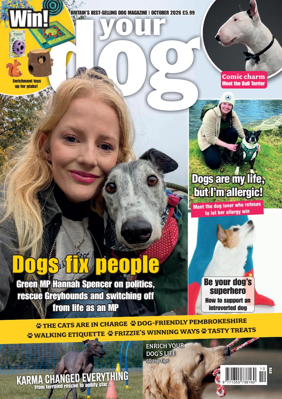 Your Dog Preview Pages