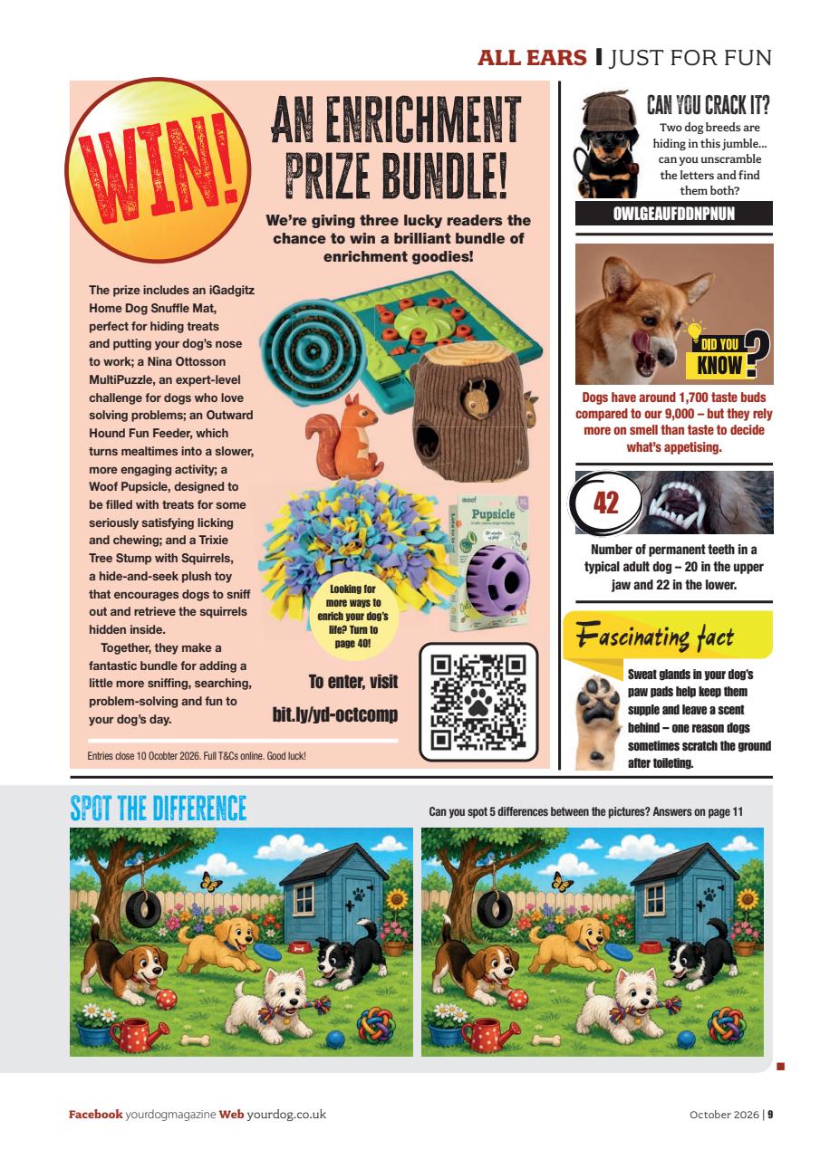 Your Dog Preview Pages