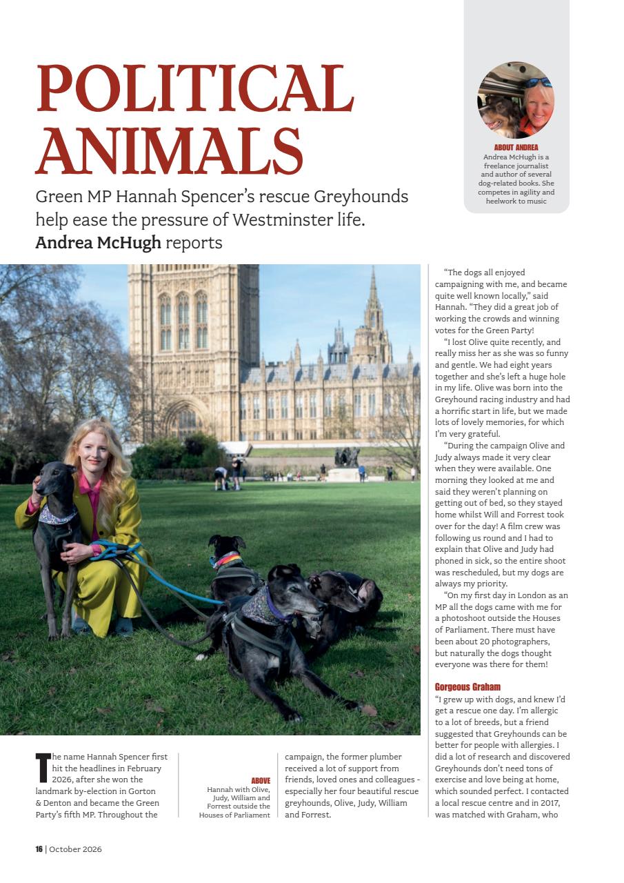 Your Dog Preview Pages