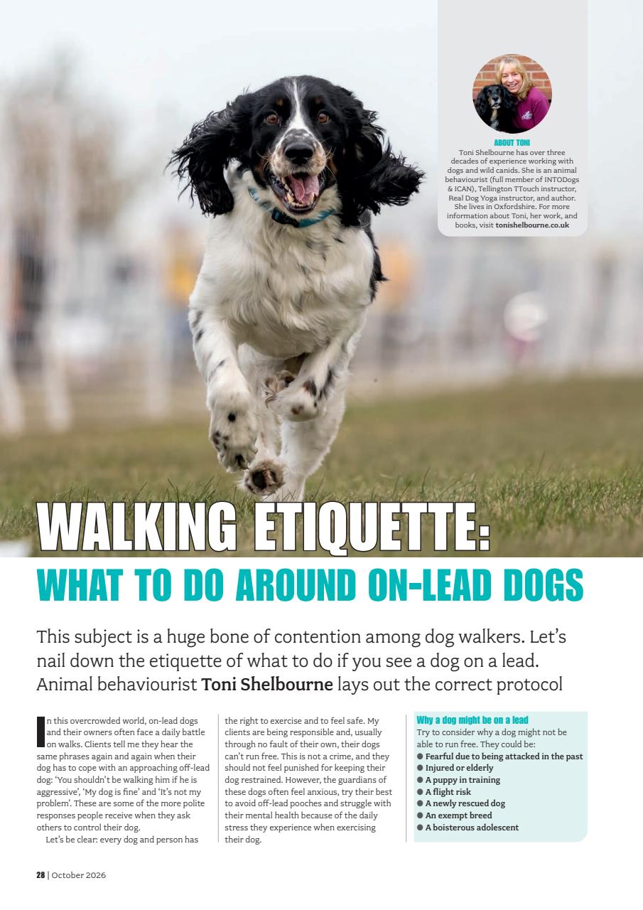 Your Dog Preview Pages