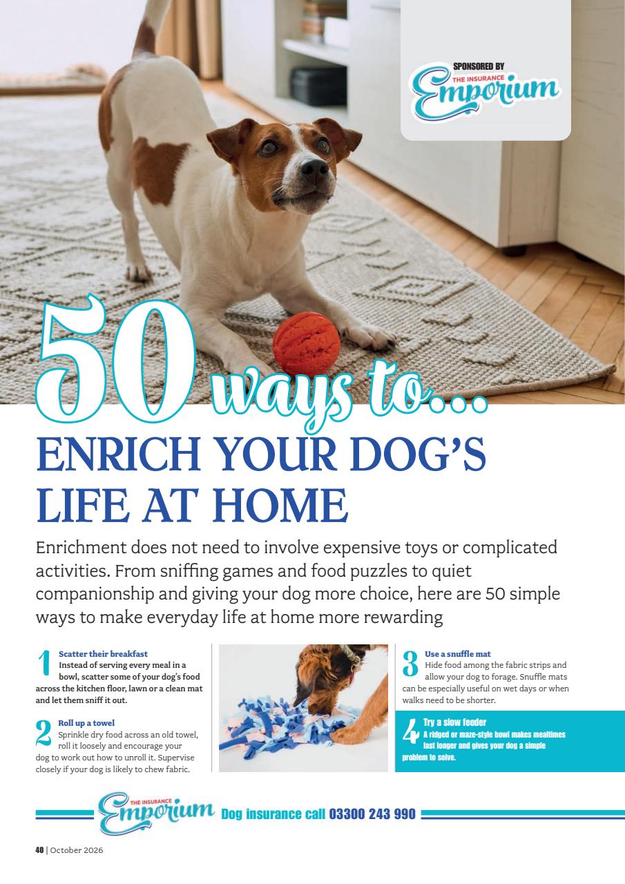 Your Dog Preview Pages