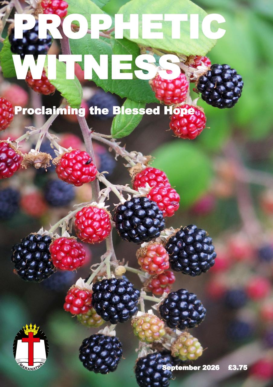 Prophetic Witness Preview Pages